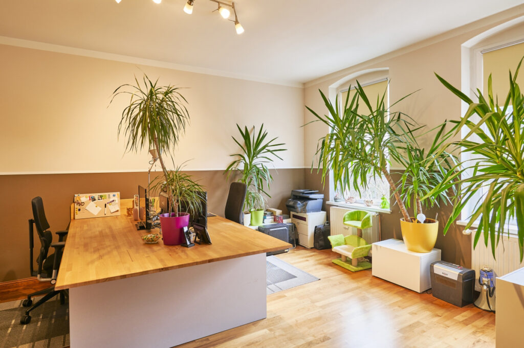 Mehrfamilienhaus mit Fünf bis Sieben Wohneinheiten, Remise und Garten-07